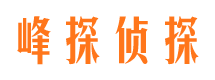 师宗市婚外情调查